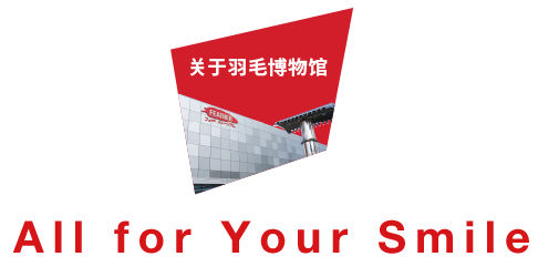All for Your Smile