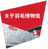 关于羽毛博物馆